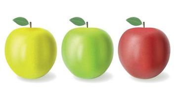 Colorful Realistic Apples Set vector