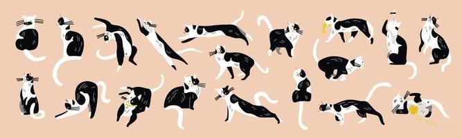 Black White Cats Set vector