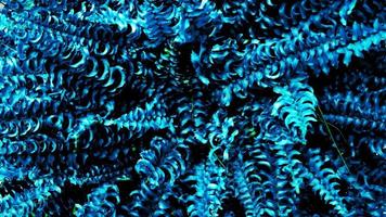 tropical blue leaf glow in the dark background. High contrast photo