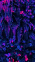 Tropical black light glowing leaves. photo