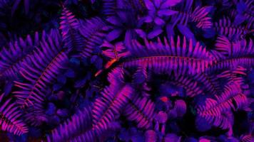 Tropical black light glowing leaves. photo