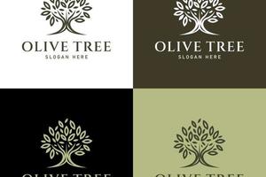 Olive tree logo design vector