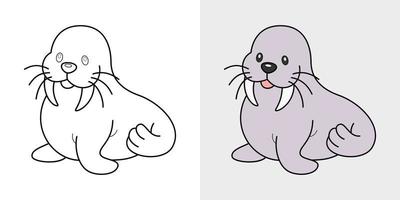 seals coloring book or page, vector illustration
