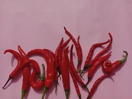 Big red chili and curly red chili. With pink background photo