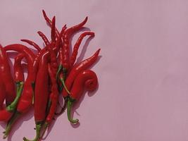 Big red chili and curly red chili. With pink background photo