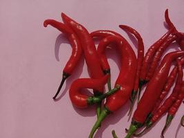 Big red chili and curly red chili. With pink background photo