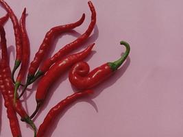 Big red chili and curly red chili. With pink background photo