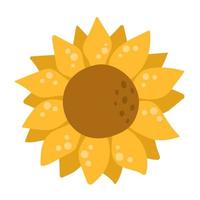 Sunflower isolated, sticker or icon for design decoration, can be used on packaging vector