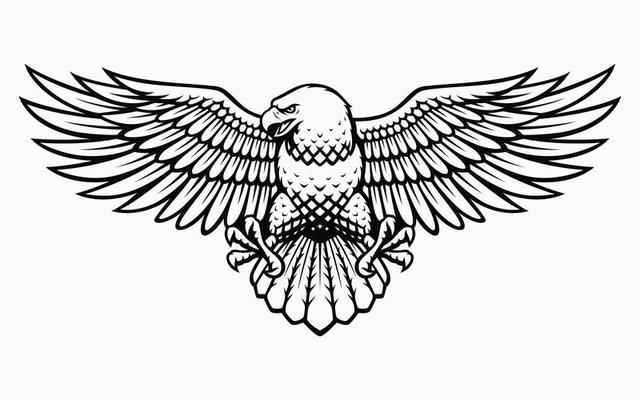 Eagle Vector Art, Icons, and Graphics for Free Download