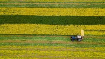 mowing rapeseed tractor aerial photography with a drone photo