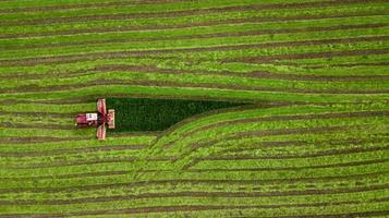 tractor mows the grass on a green field aerial view photo