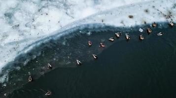 Many birds on the ice of the river. Aerial survey photo