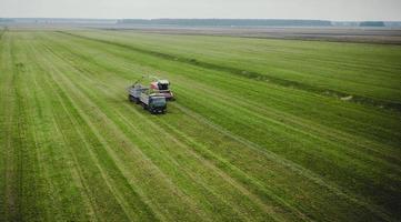 tractor mows the grass on a green field aerial view photo