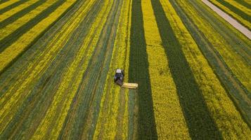 tractor on a yellow-green rape field photo