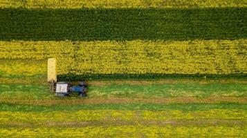 A farmer mowing grass using a tractor with a rotary mower. photo