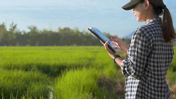 Young female smart farmer with tablet on field,High technology innovations and smart farming video