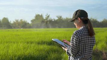 jovem agricultor inteligente controlando a pulverização de fertilizantes e pesticidas por drones sobre terras agrícolas, inovações de alta tecnologia e agricultura inteligente video