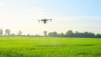 Agriculture drone flying and spraying fertilizer and pesticide over farmland,High technology innovations and smart farming video