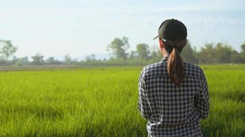 Junger intelligenter Landwirt, der Drohnen kontrolliert, die Düngemittel und Pestizide über Ackerland sprühen, hochtechnologische Innovationen und intelligente Landwirtschaft video