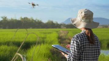 jovem agricultor inteligente controlando a pulverização de fertilizantes e pesticidas por drones sobre terras agrícolas, inovações de alta tecnologia e agricultura inteligente video