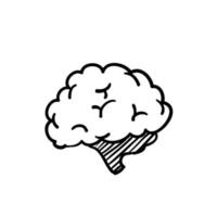 hand drawn doodle brain icon illustration vector