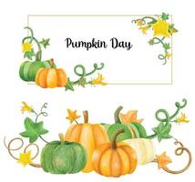 Pumpkins vines and leaves banner watercolor collection vector