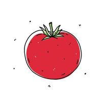 tomate rojo aislado sobre fondo blanco. alimentos orgánicos saludables. ilustración vectorial dibujada a mano en estilo garabato. perfecto para tarjetas, logotipos, decoraciones, recetas, varios diseños. vector