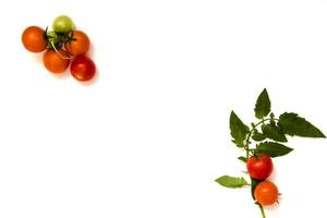 Ripe Fresh Cherry Tomatoes on Isolated on White Background photo