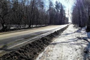 melting snow in the forest photo