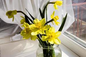 Yellow daffodil flowers in vase on the table photo