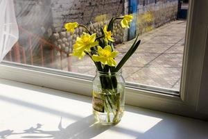 Yellow daffodil flowers in vase on the table photo