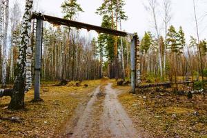 Sunlight in the autumn forest. day outdoor photo