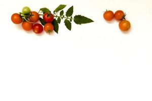 Ripe Fresh Cherry Tomatoes on Isolated on White Background photo