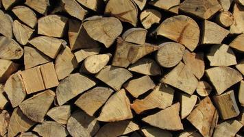 stack of firewood photo