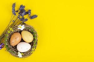 Top view of color easter haqndmade eggs and nest flatlay. Trendy minimal design spring background. Space for text. Stuio Photo