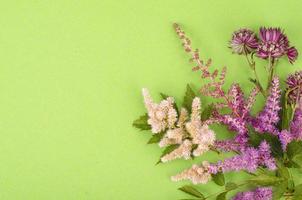 Festive background, postcard with lilac delicate flowers on green background, space for text. Studio Photo