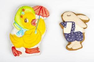 Homemade gingerbread cookies in shape of animals for children. Studio Photo