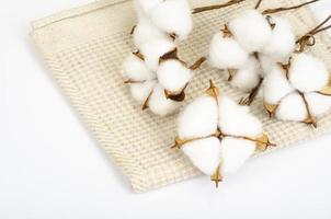 Cotton ball flower on cotton fabric. Studio Photo