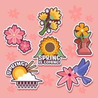 Floral at Sping blossom vector
