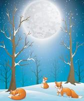 Cute winter foxes enjoying falling snow on night background vector