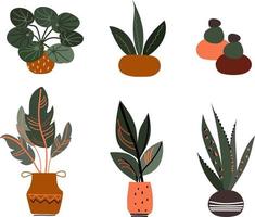 conjunto de plantas caseras vector