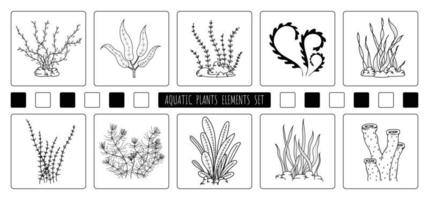 dibujo a mano abstracto de elementos de plantas acuáticas diseño de conjunto de elementos. estilo libre de dibujo para icono y uso de fondo. ilustración vector