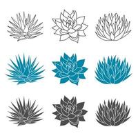 Agave blue set plant in flat style. Vector illustration isolated on white background. Agave syrup for making tequila. Mexican silhouette succulent hand drawn.