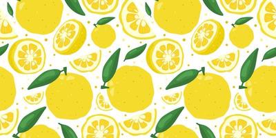 Yuzu japanese citron fruit seamless pattern vector illustration isolated on white background.