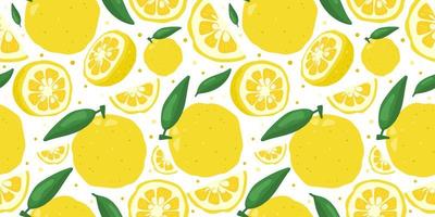 Ilustración de vector de patrones sin fisuras de fruta de limón japonés yuzu aislado sobre fondo blanco.