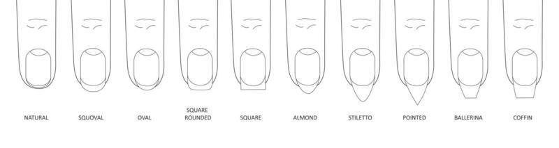 Nail Shapes Vector Art, Icons, and Graphics for Free Download