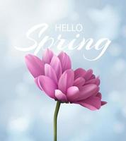 Hello spring banner with realistic pink chrysanthemum flower on a blurred blue background with bokeh. Vector illustration.