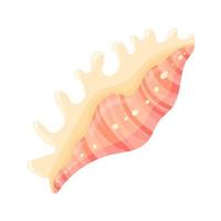 Conch flat cartoon vector Illustration isolated on white background. Colorful tropical beach shell underwater icon. Aquatic nature.