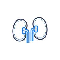 Kidney Medical Icon Illustration vector