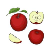 ilustración de vector de boceto de fruta de manzana.